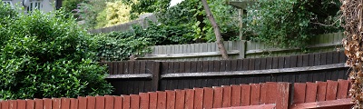 A photo of neighbourhood fences in a row with overhanging trees